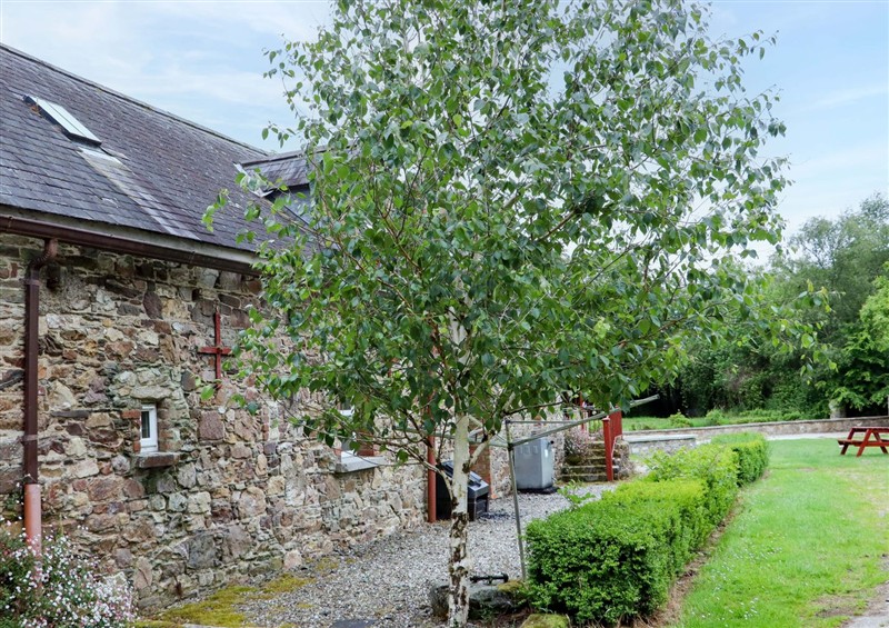 Outside at Orchard Barn, Wexford Town