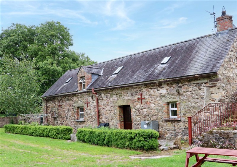 This is the garden at Orchard Barn, Wexford Town