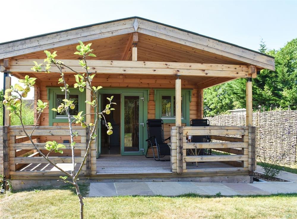 Exterior at Orchard Cabin in Pyecombe, West Sussex