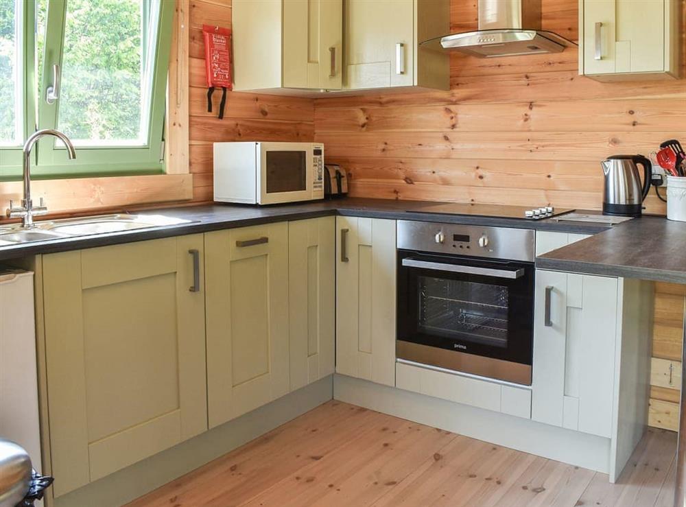 Kitchen area at Orchard Cabin in Pyecombe, West Sussex