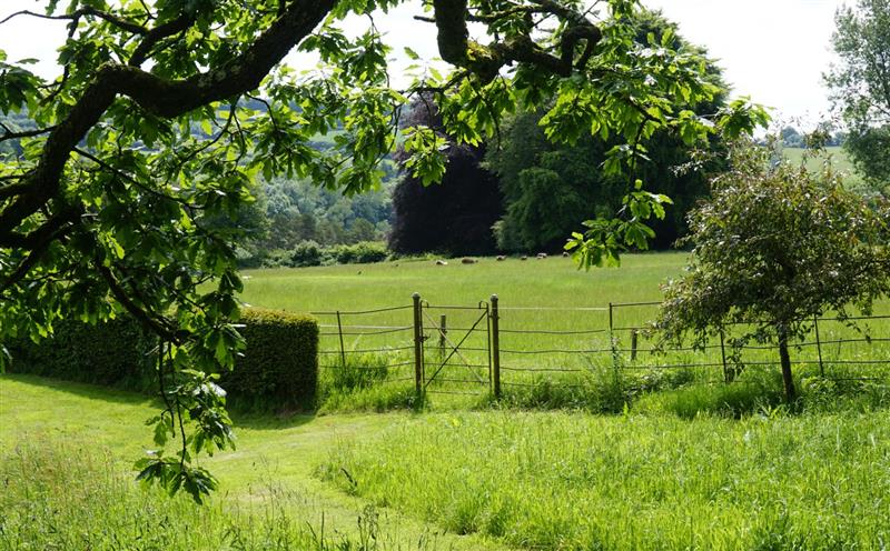 The area around Orchard Cottage