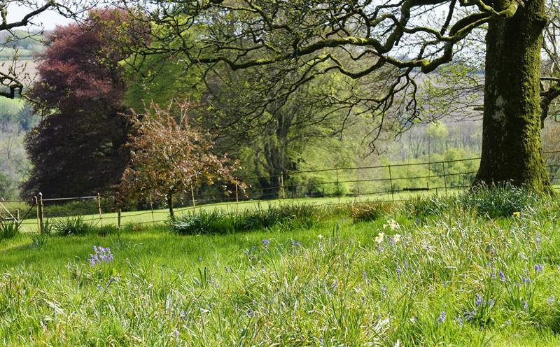 The setting of Orchard Cottage