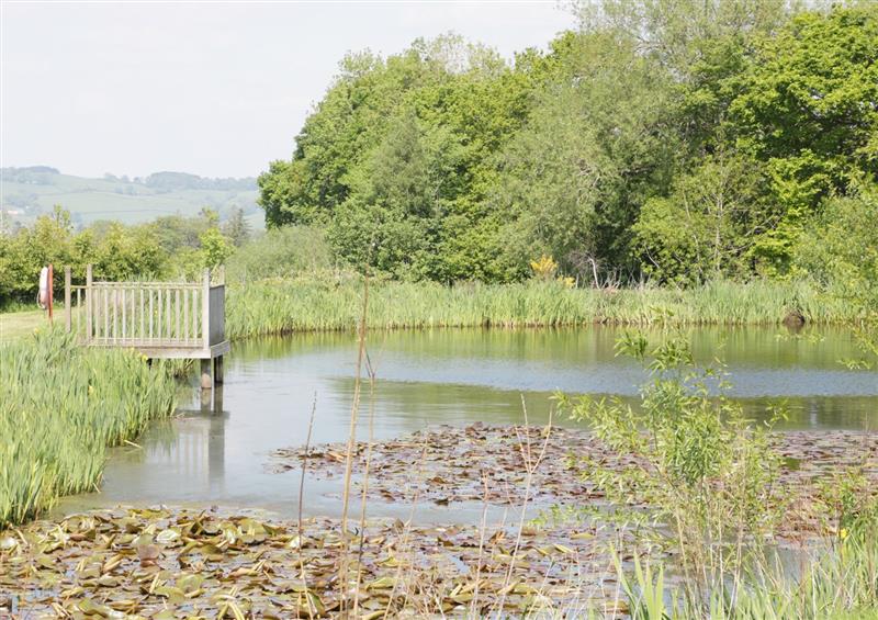 The area around Orchard Cottage