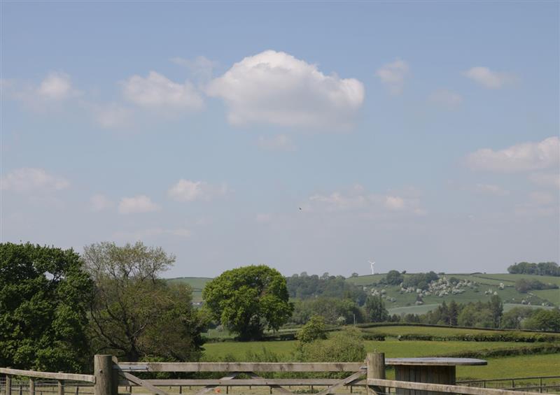 The setting around Orchard Cottage