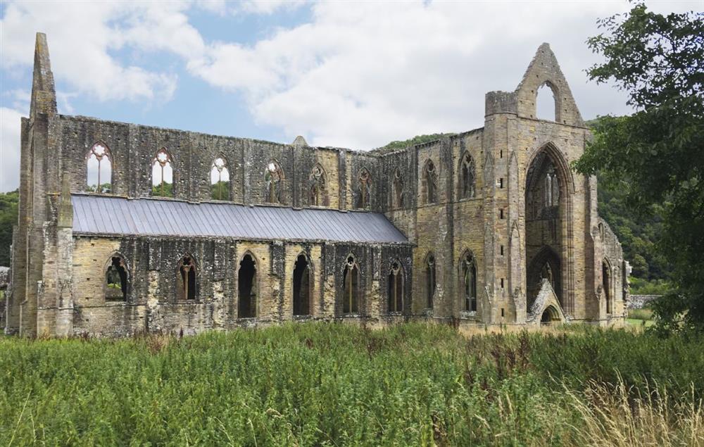 Tintern Abbey  at Orchard Cottage (Monmouthshire), Penterry