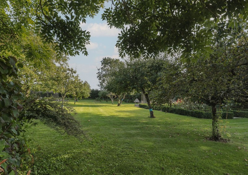 The garden in Orchard Cottage at Orchard Cottage, Ryme Intrinseca near Yetminster