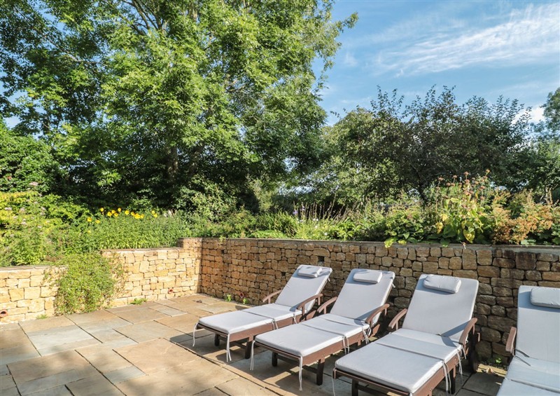 This is the garden at Orchard Cottage, Ryme Intrinseca near Yetminster