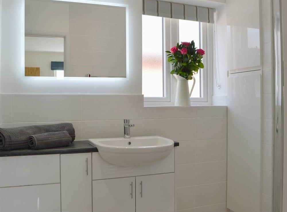 Ideal en-suite shower room at Orchard Cottage in Upton Cressett, near Ironbridge, Shropshire