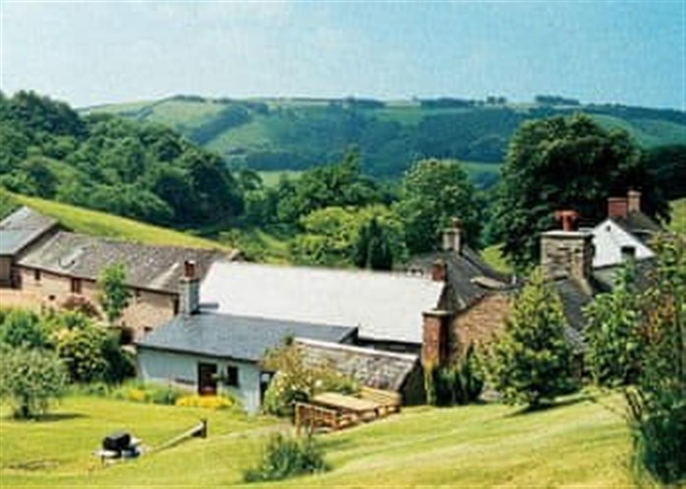 Surrounding area at Orchard Cottage in Wheddon Cross, Exmoor, Somerset