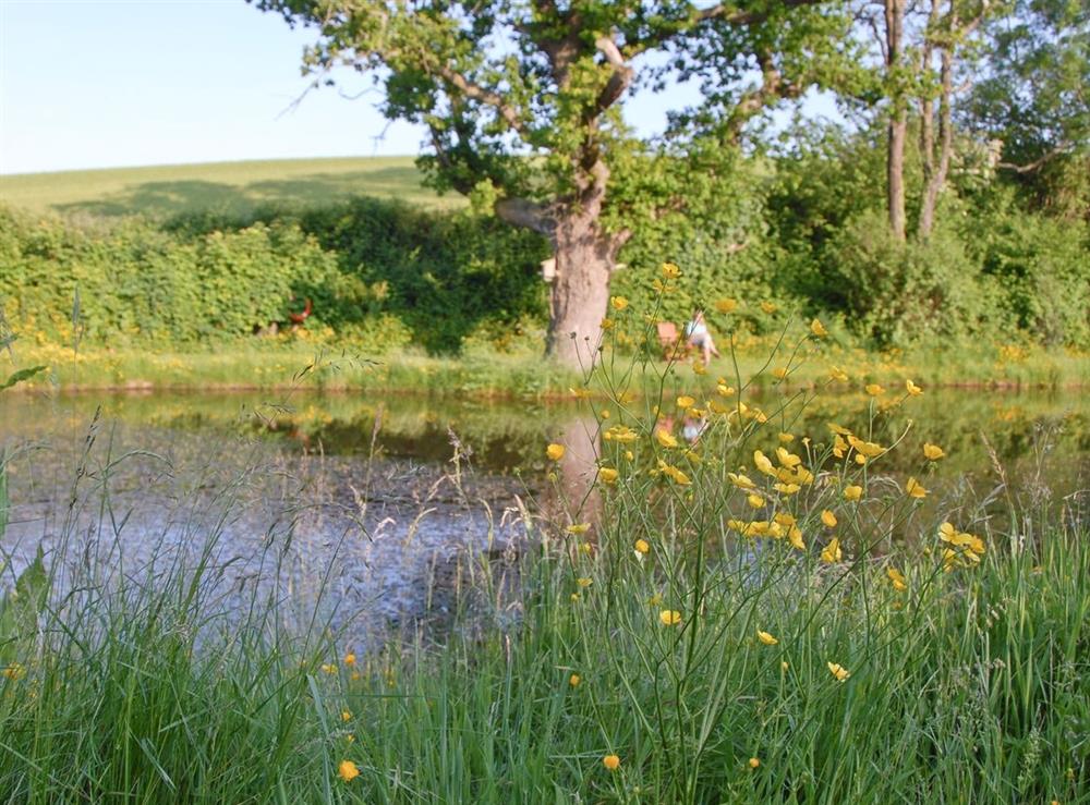 Photos of Orchard House Fairy Cross, Bideford, North Devon., South West