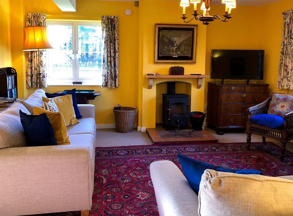 Cosy living room with wood burner at Orchard House in Hempstead, near Holt, Norfolk