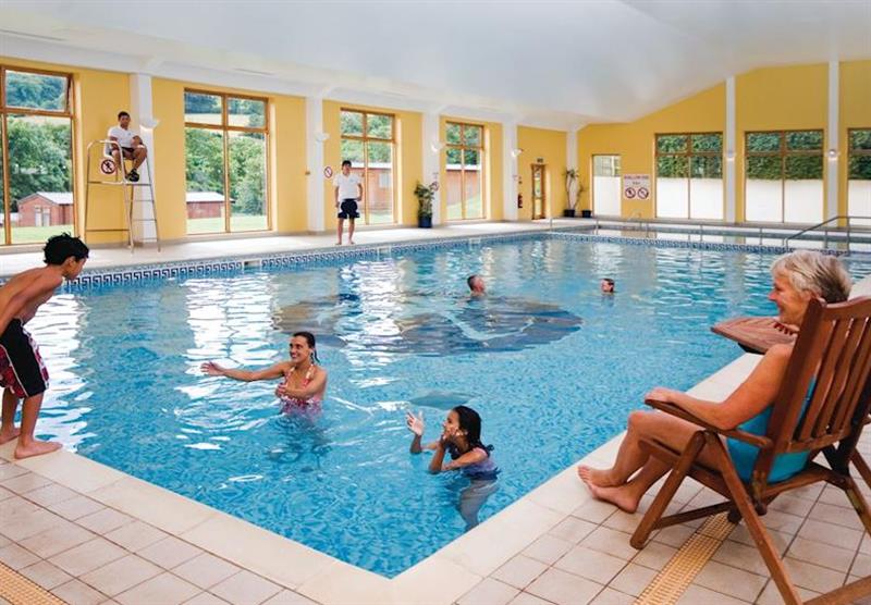 Indoor heated swimming pool at Orchard Park in Paignton, Devon