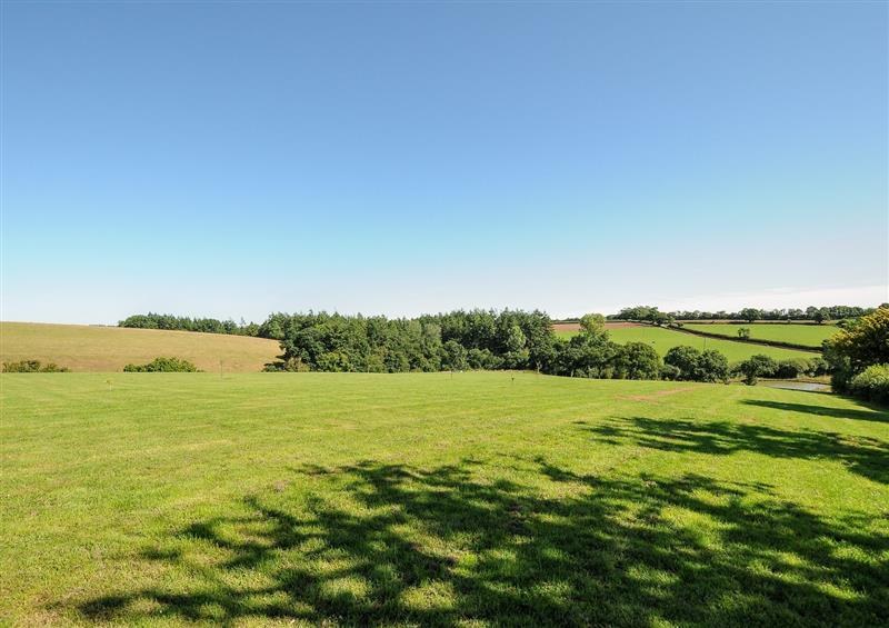 Rural landscape (photo 3) at Orchard Retreat, East Worlington near Witheridge