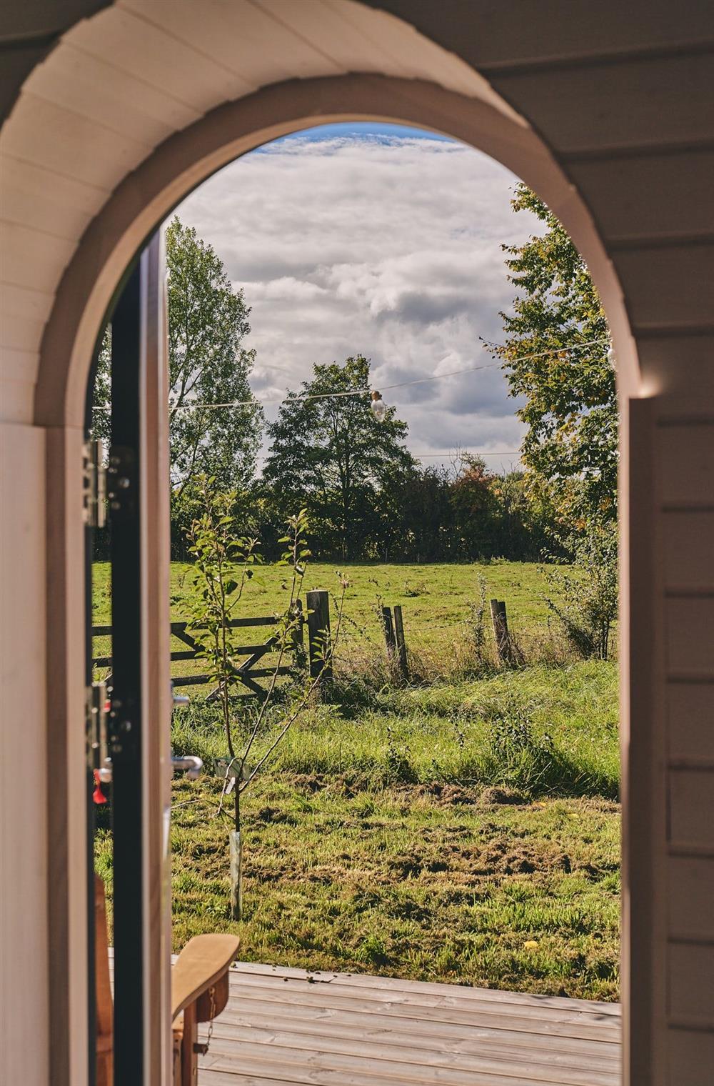 The countryside view