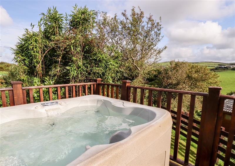 There is a pool at Orchard View, Bossiney near Tintagel
