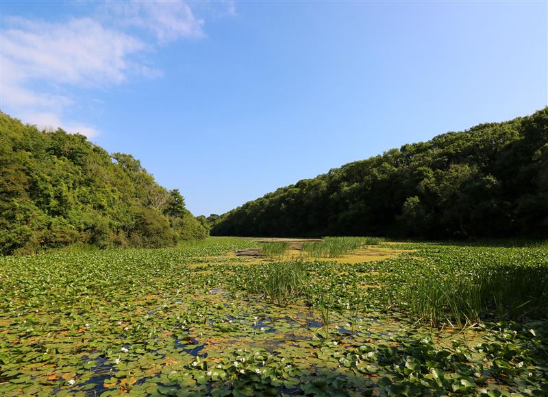 The area around Orchard View