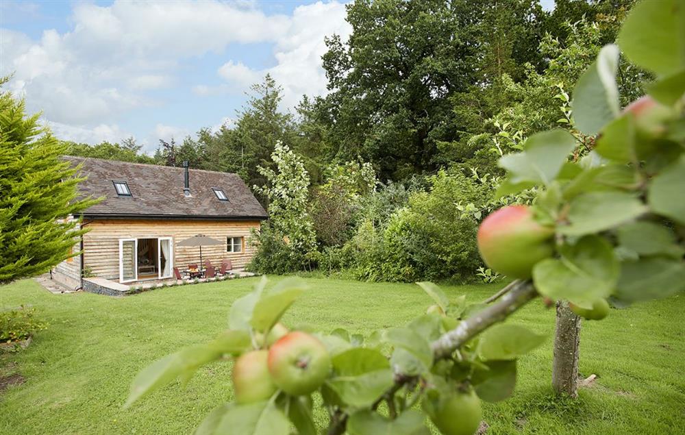 Orchard View is nestled in a peaceful spot within the Shropshire Hills, an Area of Outstanding Natural Beauty