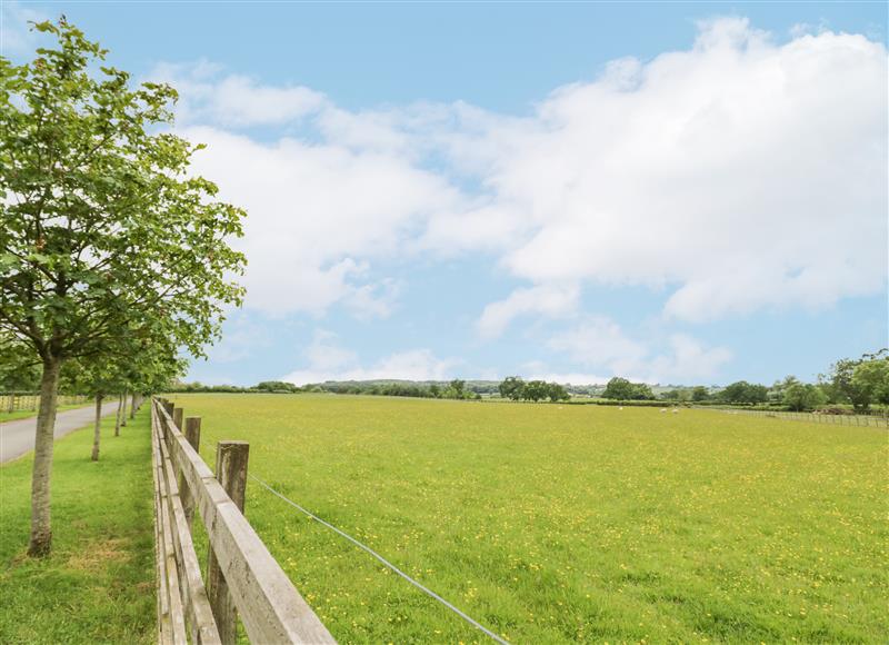 Rural landscape