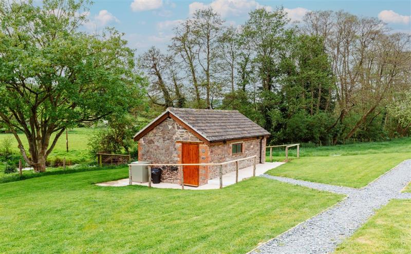 The area around Orchard Yurt