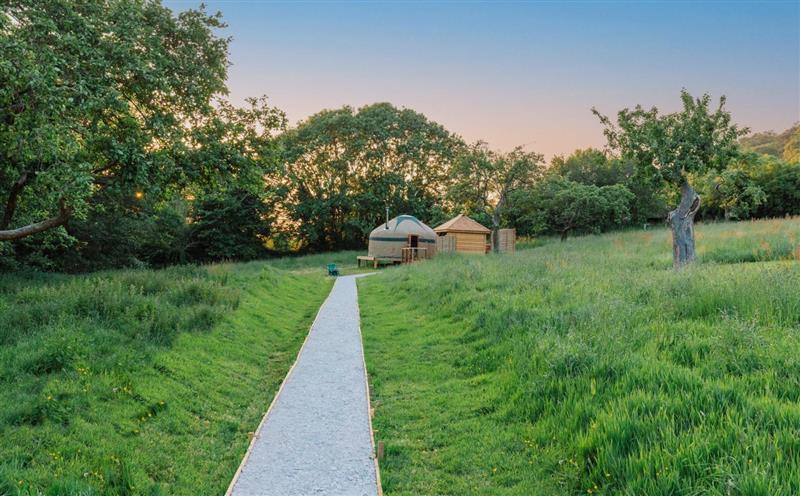 The setting around Orchard Yurt at Orchard Yurt, Allerford