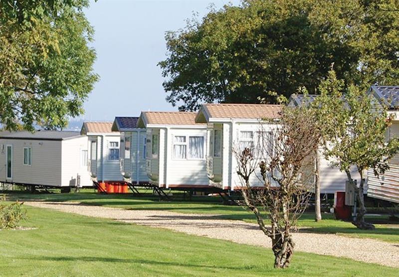 The park setting at Orchards Holiday Park in Newbridge, Nr Yarmouth