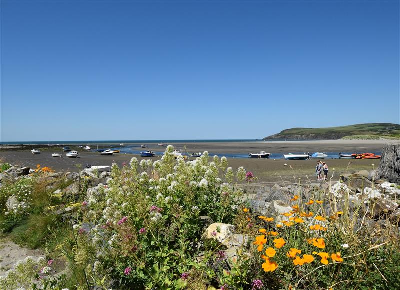 The area around Orielton Cottage