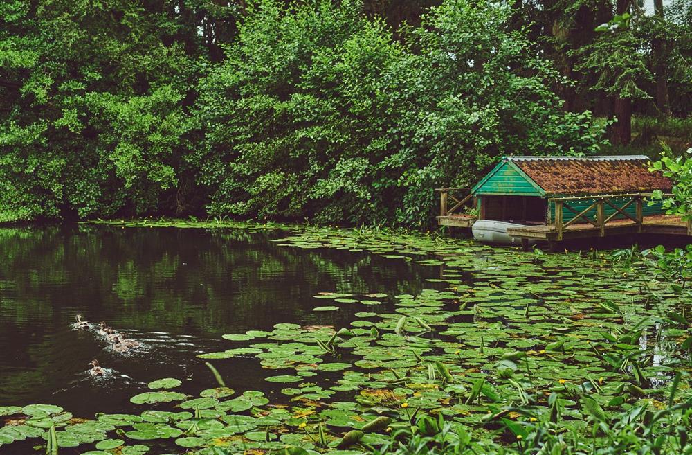 The boat house on the edge of the lake