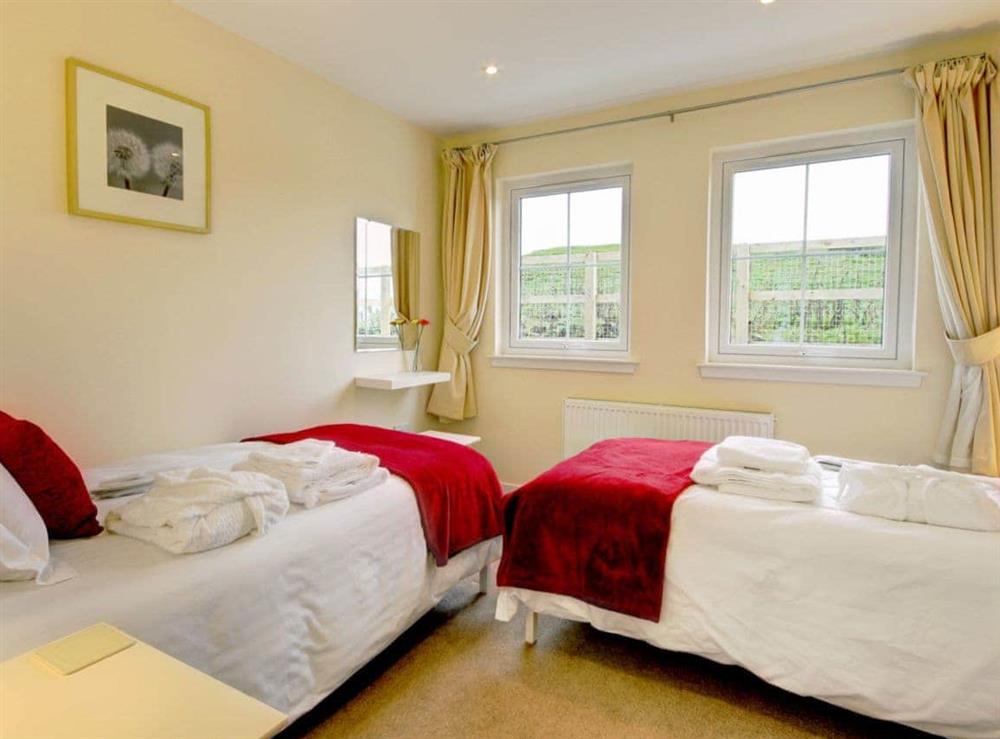 Twin bedroom at Buzzard Cottage, 