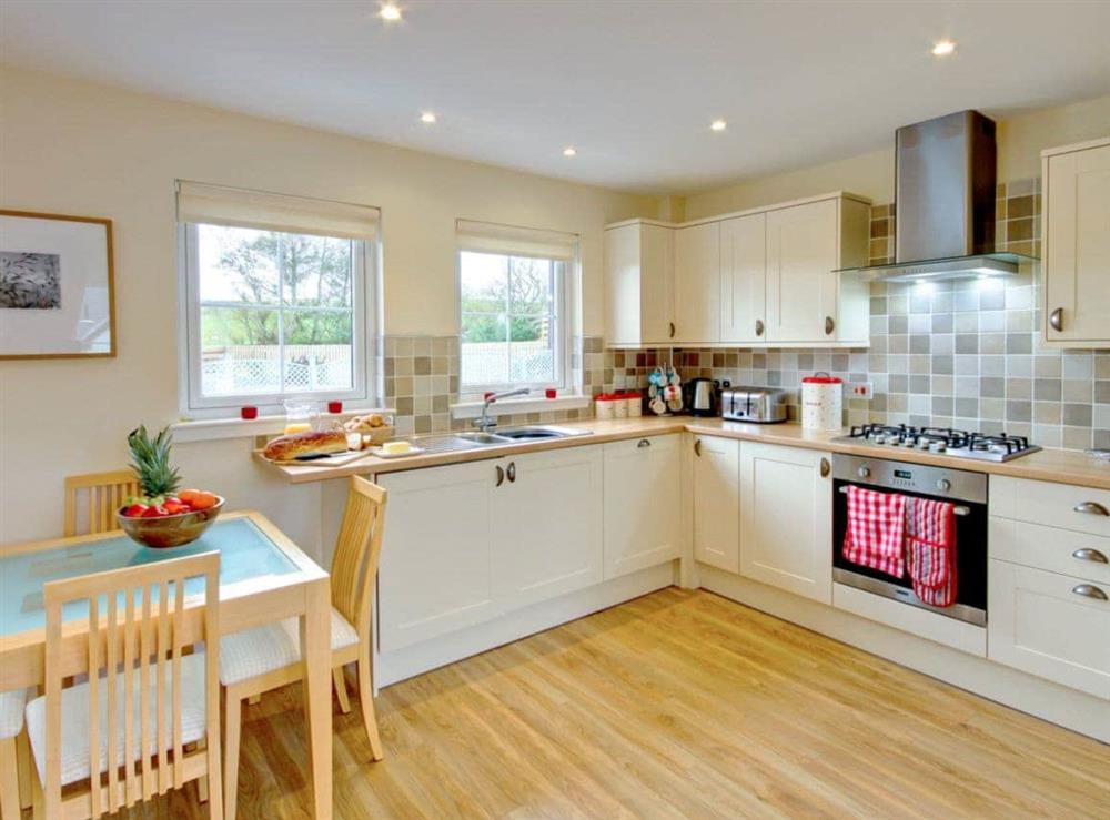 Open plan living/dining room/kitchen (photo 3) at Barn Owl Cottage, 
