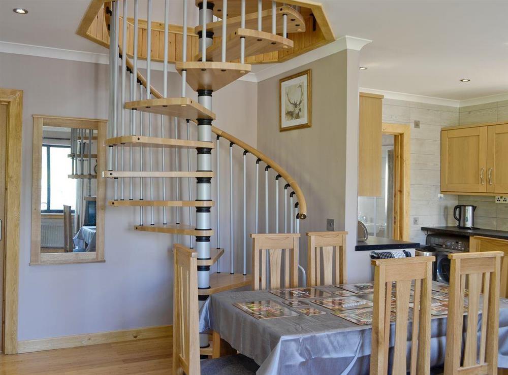 Stylish spiral staircase in multi-purpose living space
