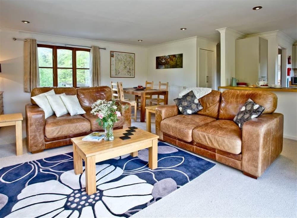 Open plan living space (photo 3) at Over Lake Apartment, 1a Indio Lake in Bovey Tracey, Devon