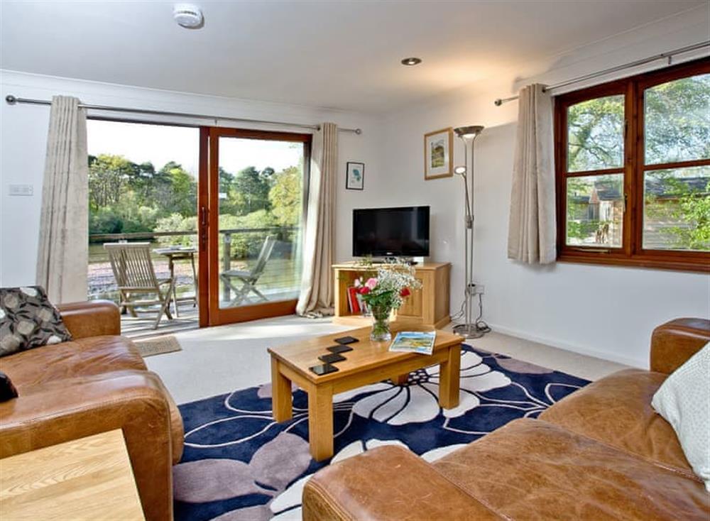 Open plan living space at Over Lake Apartment, 1a Indio Lake in Bovey Tracey, Devon
