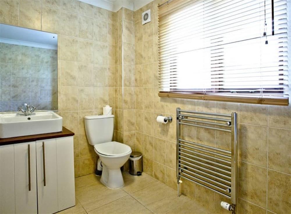 Shower room at Over Lake Apartment, 1a Indio Lake in Bovey Tracey, Devon