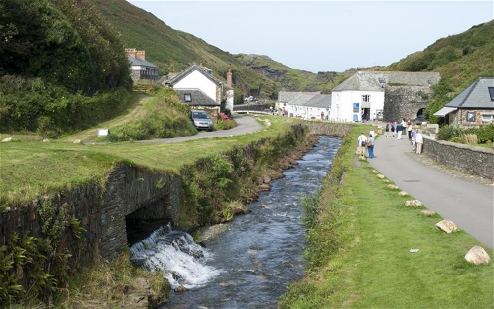 Visit Cornwall Boscastle Adam Gibbard at Over The Hedge in Boscastle