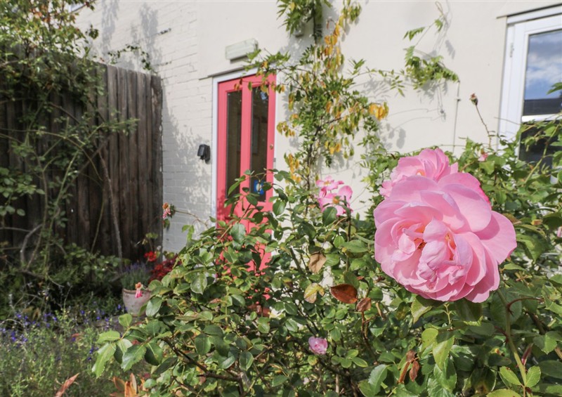 This is the garden at Over Village Studio, Over