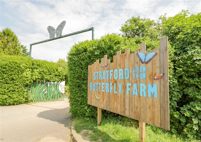 This is the garden at Owl Barn, Farnborough