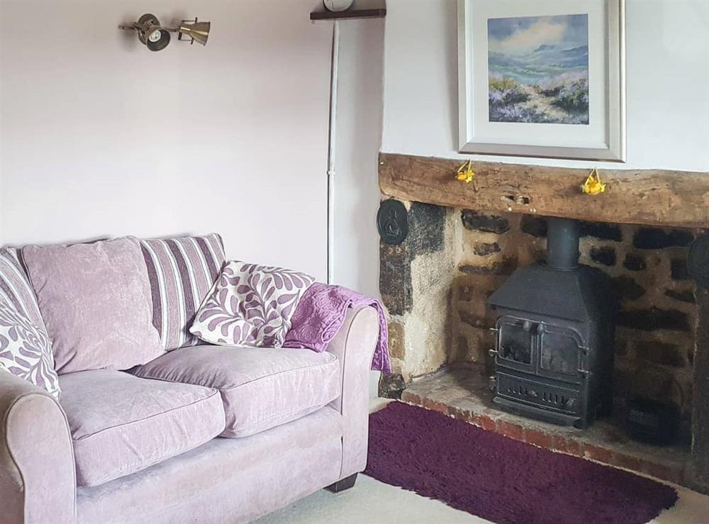 Lounge with coal burner effect gas fire at Owl Cottage in Crich, near Matlock, Derbyshire
