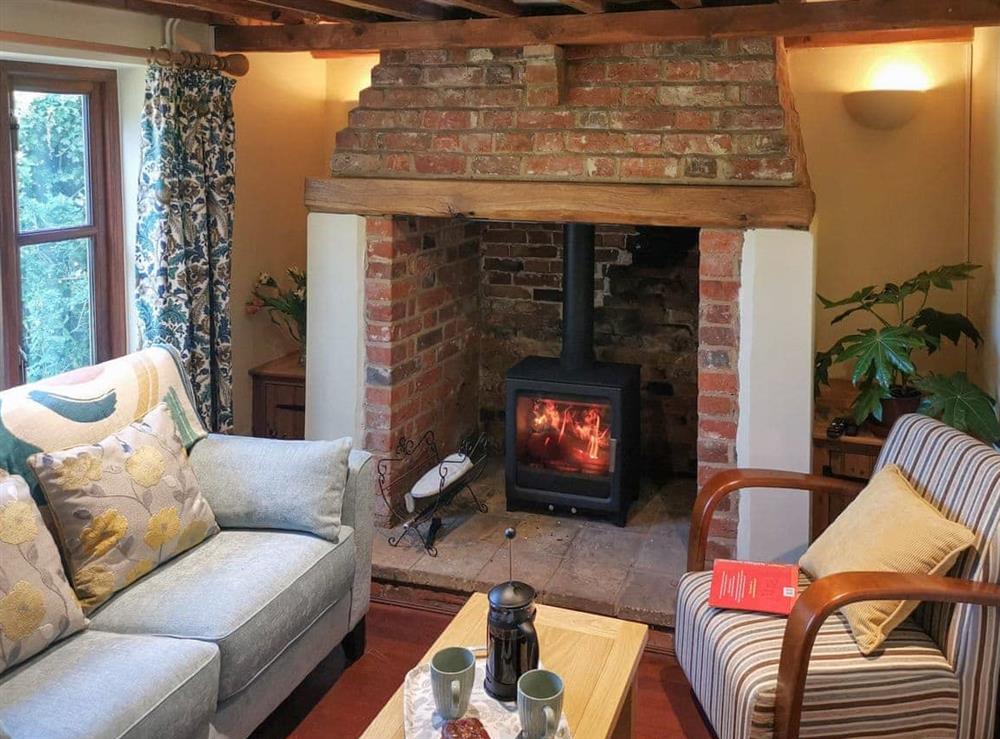 Living area at Owl Cottage in Hemblington, near Norwich, Essex