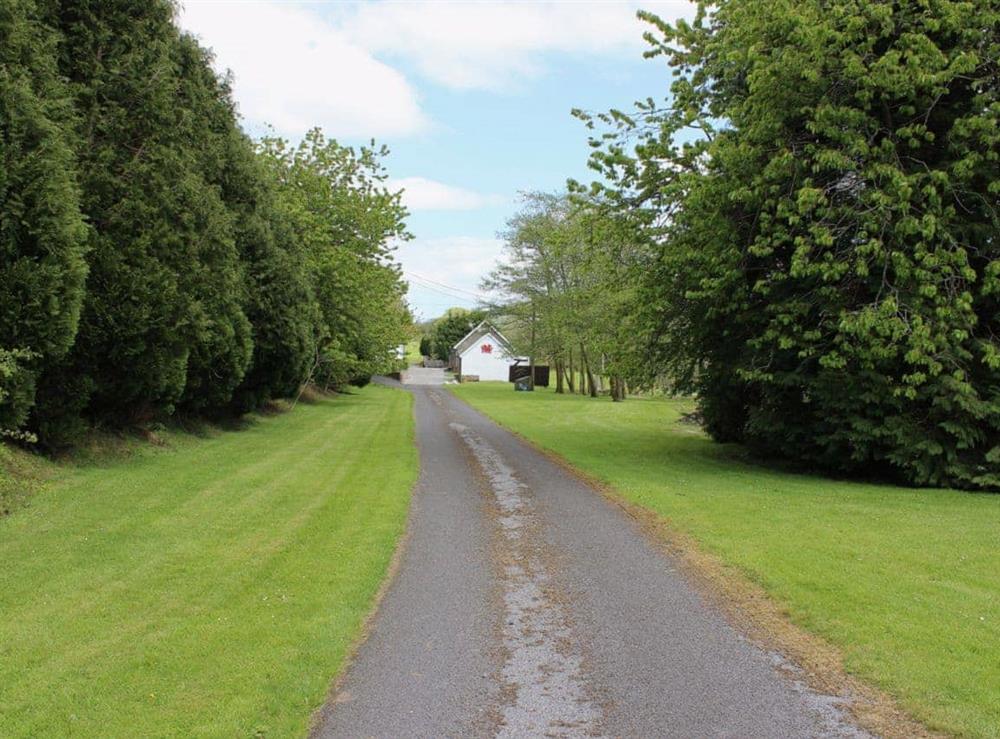 Driveway at Owl Cottage in Llandeilo, Dyfed