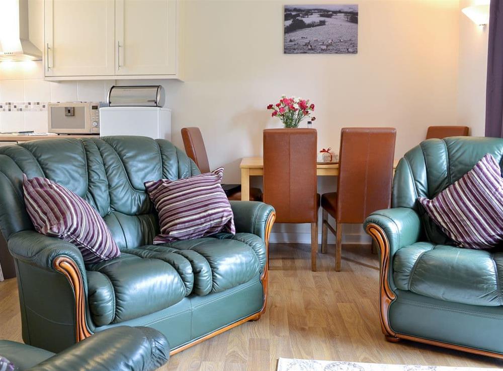 Living room/dining room at Owl Cottage in Llandeilo, Dyfed