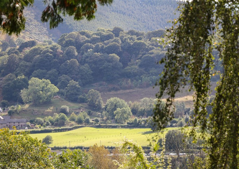 Rural landscape