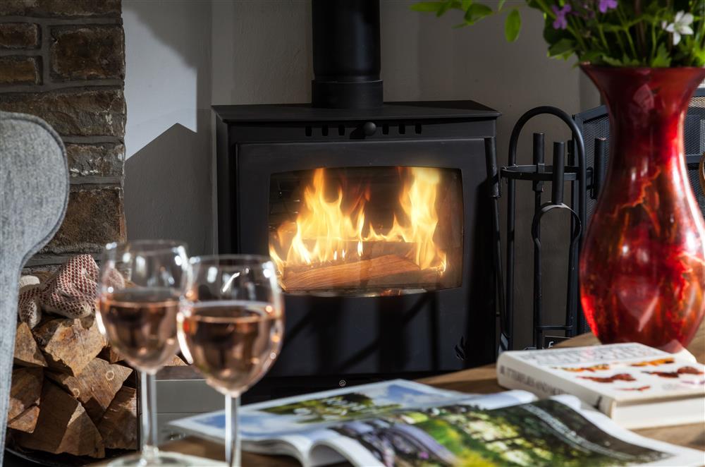 Relax around the wood burning stove  at Owl Cottage, Llanwrda