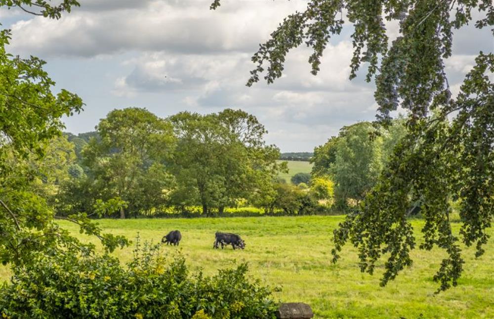 Grazing pastures