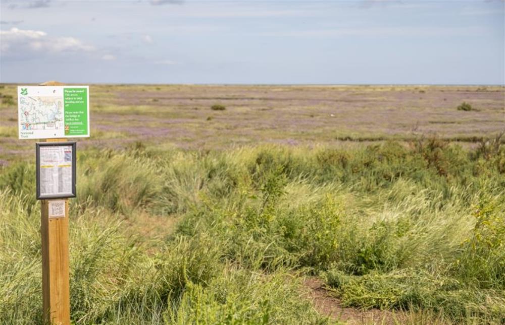 Stiffkey marshes