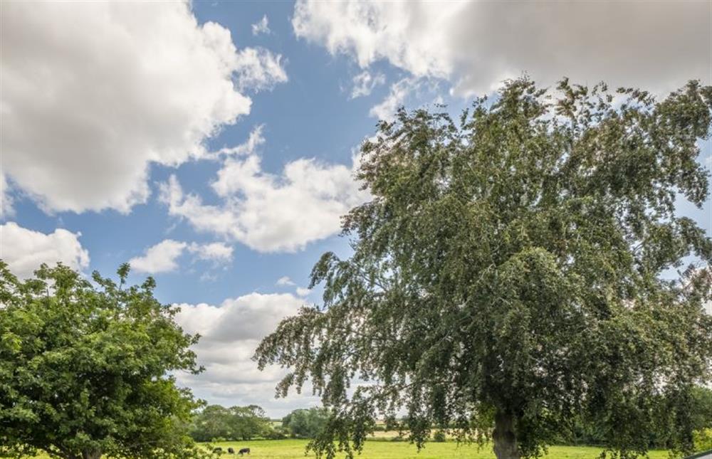 The view over to the fields beyond