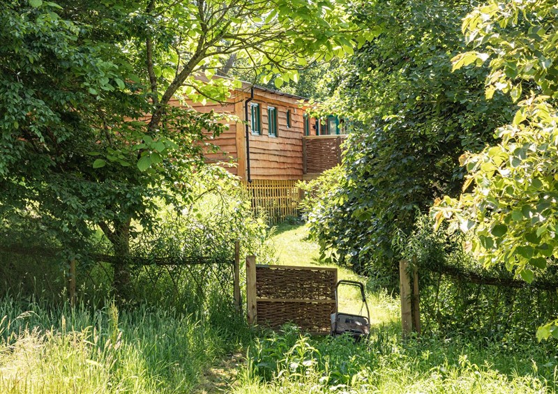 Enjoy the garden (photo 2) at Owl Lodge, Menheniot