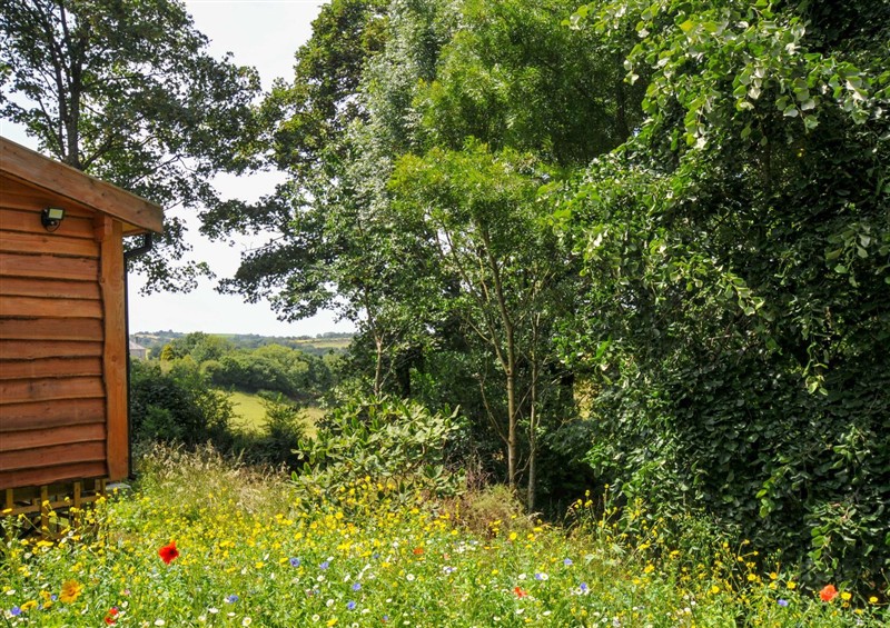 Outside (photo 4) at Owl Lodge, Menheniot
