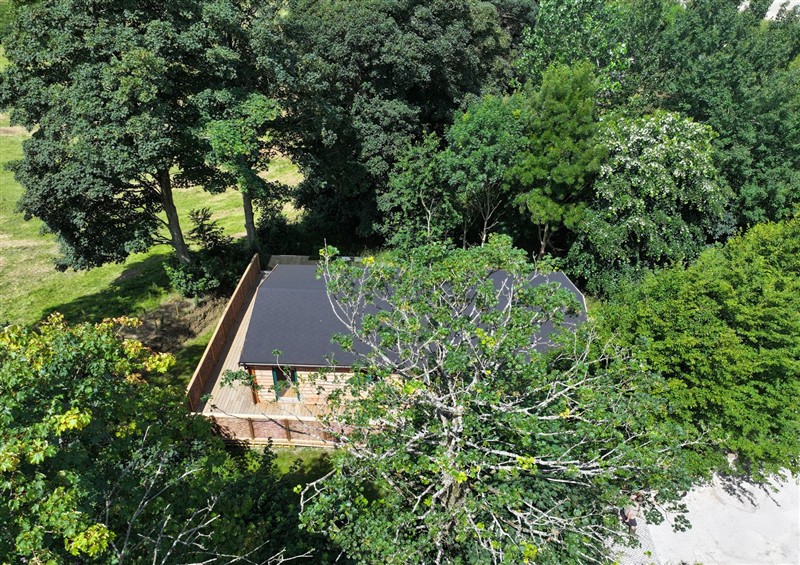 The garden in Owl Lodge (photo 3) at Owl Lodge, Menheniot
