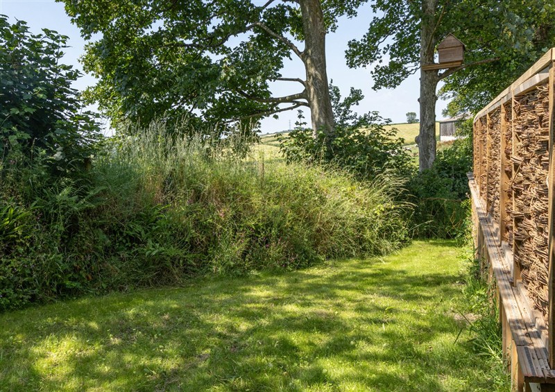 The garden in Owl Lodge (photo 4) at Owl Lodge, Menheniot