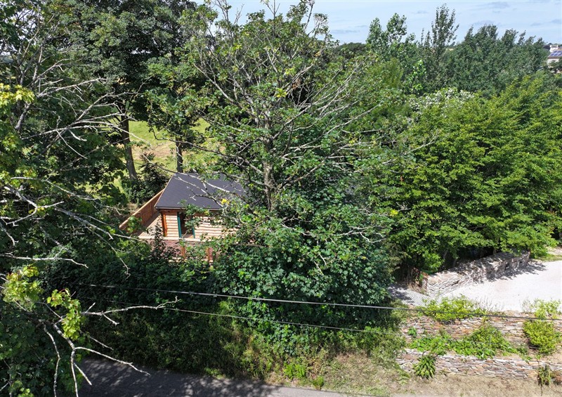 The garden in Owl Lodge at Owl Lodge, Menheniot